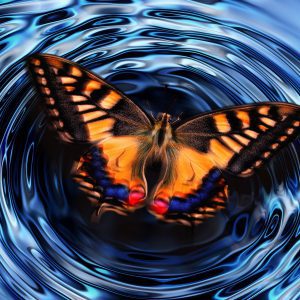 Butterfly creating ripples in water